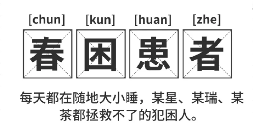 福利plus|打工人續命指南：提神零食清單+5分鐘暴汗操，一鍵領取！