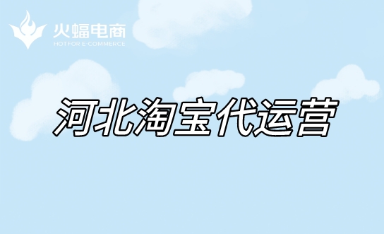 河北天貓代運營 河北天貓代運營